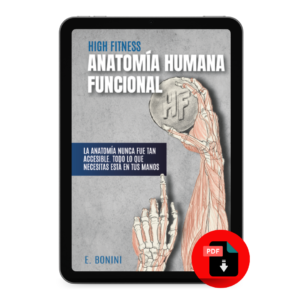 Anatomía Humana Funcional