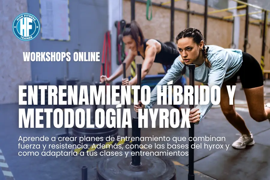 hibrido1 (1)