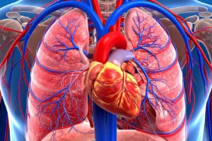 los beneficios del entrenamiento de fuerza para el corazón según la AHA.