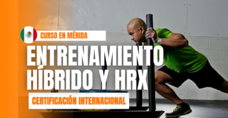 portadas PT (900 x 600 px) (56)