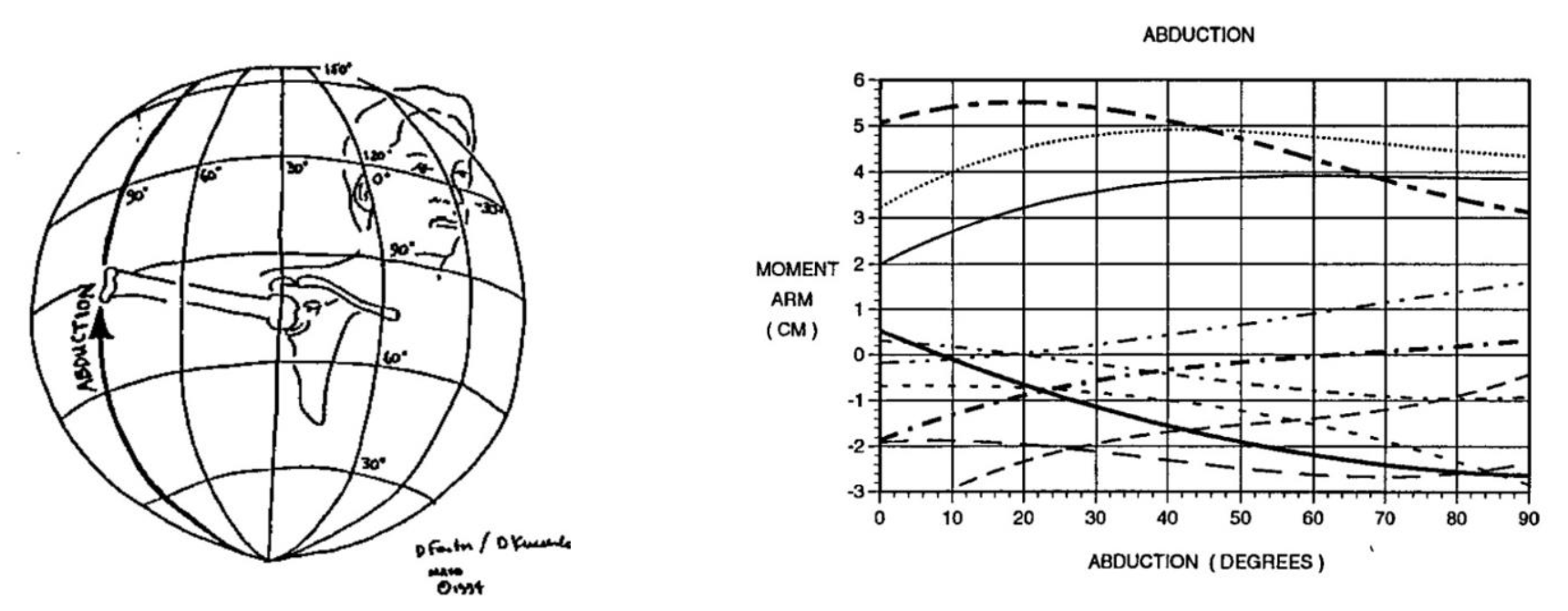 gráficos de Kuechle del hombro