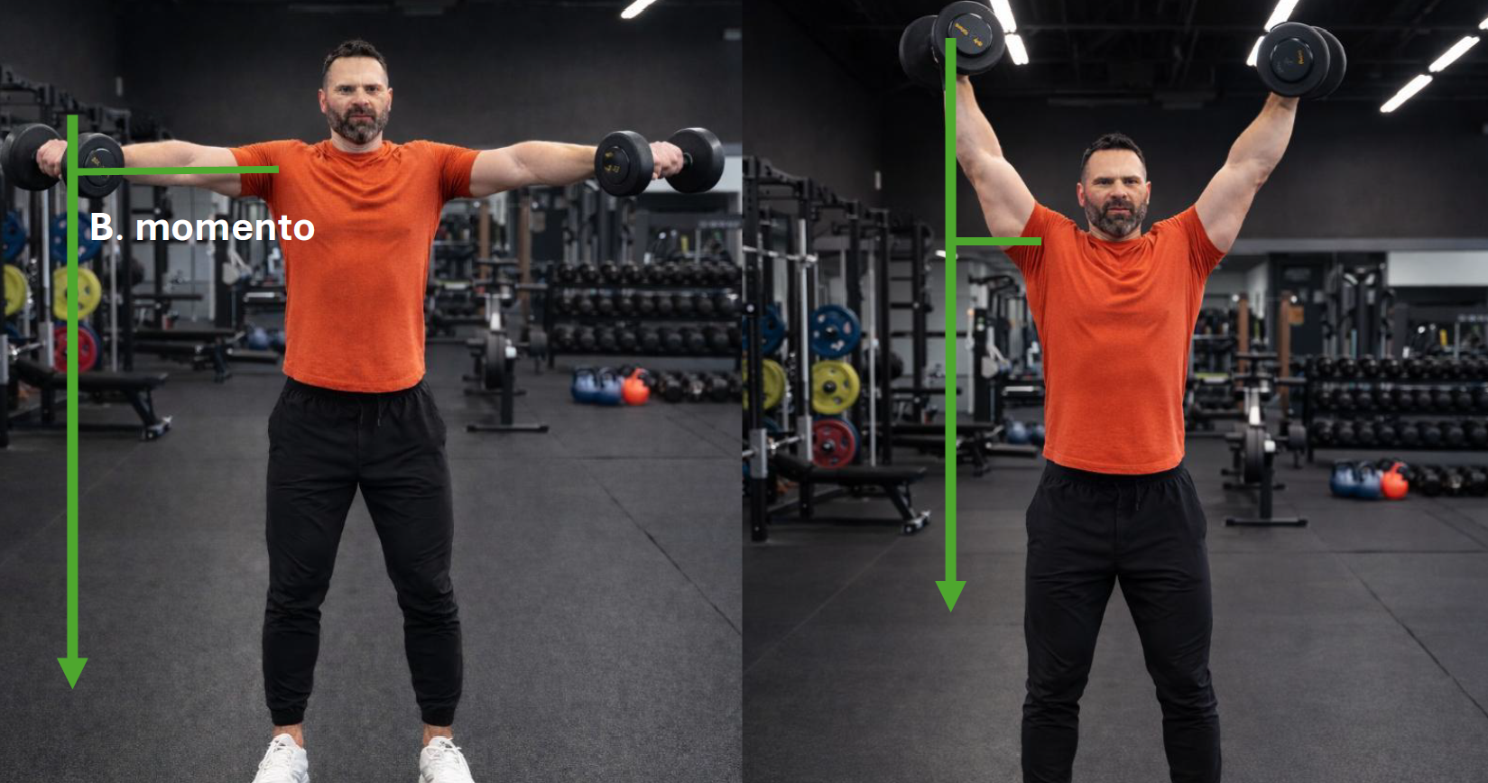 brazo de momento del hombro en vuelos laterales con mancuerna