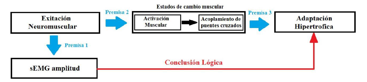 electromiografia emg y su relacion con hipertrofia muscular