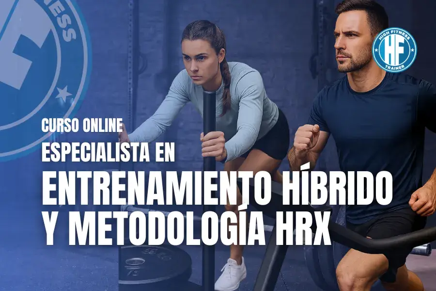 curso de entrenamiento hibrido curso de entrenamiento hibrido