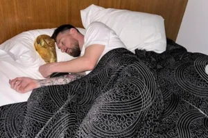 ig_YyPPwx_1290x760__1