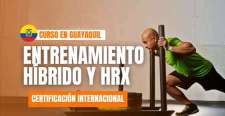 portadas PT (900 x 600 px) – 2026-08-26T101614.503