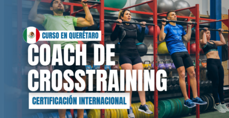 portadas PT (900 x 600 px) – 2026-08-28T143441.673